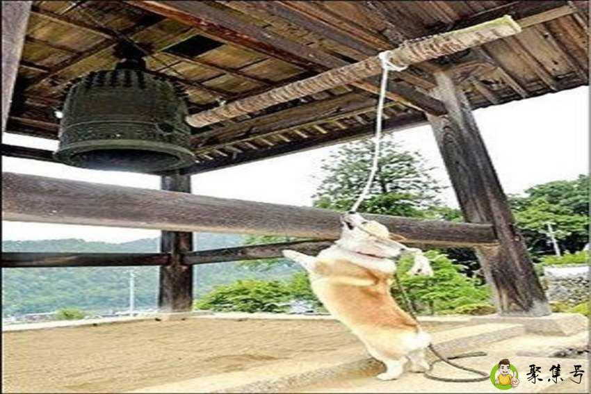 撞钟的木头叫什么