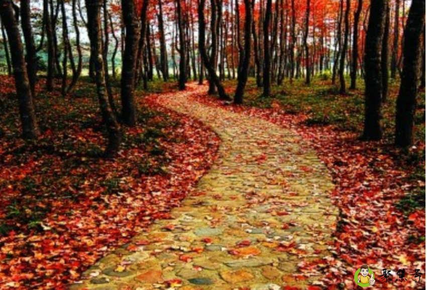 15到22度穿什么衣服