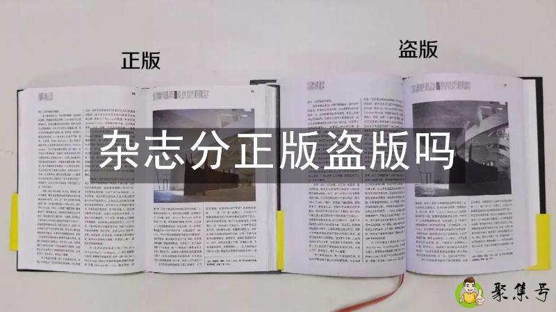 杂志分正版盗版吗