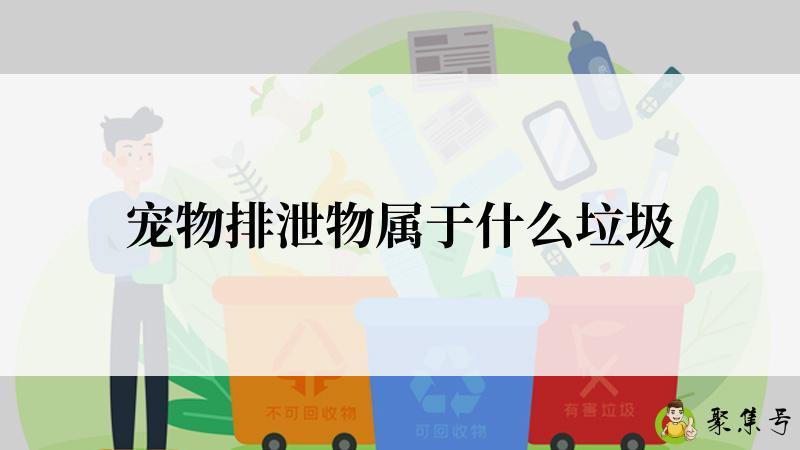 宠物排泄物属于什么垃圾