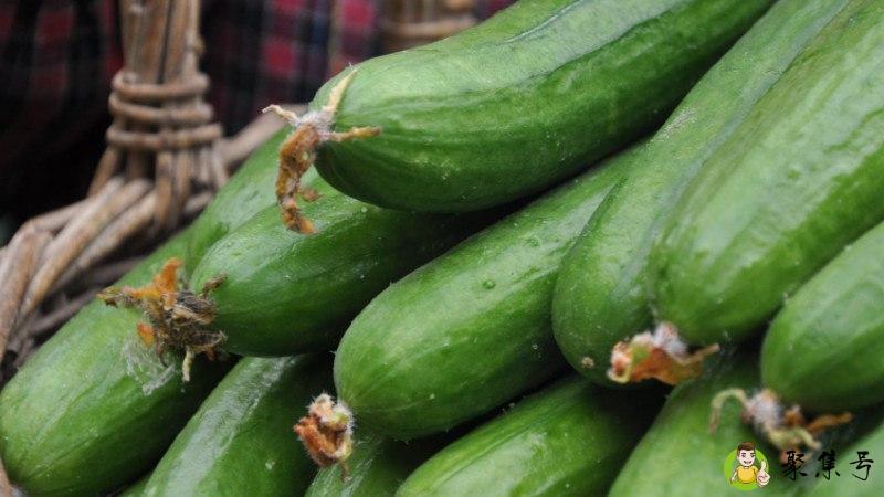 水果黄瓜和普通黄瓜的区别