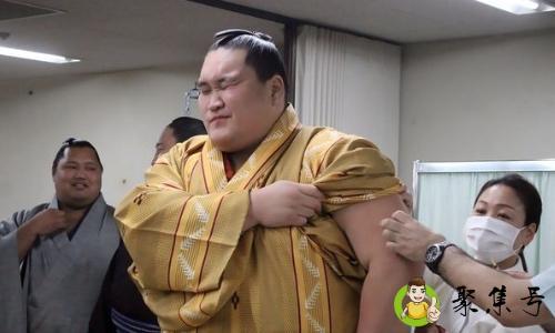 相扑选手平均寿命是多少