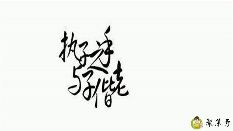 执子之手与子偕老下一句是什么