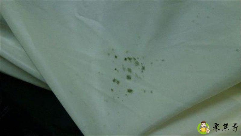 衣服发霉了还能穿吗