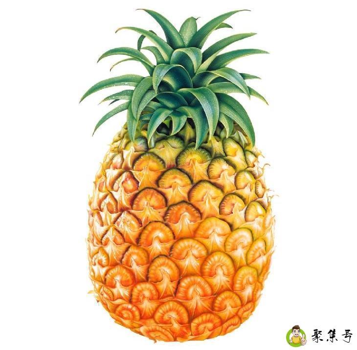 菠萝和凤梨的区别