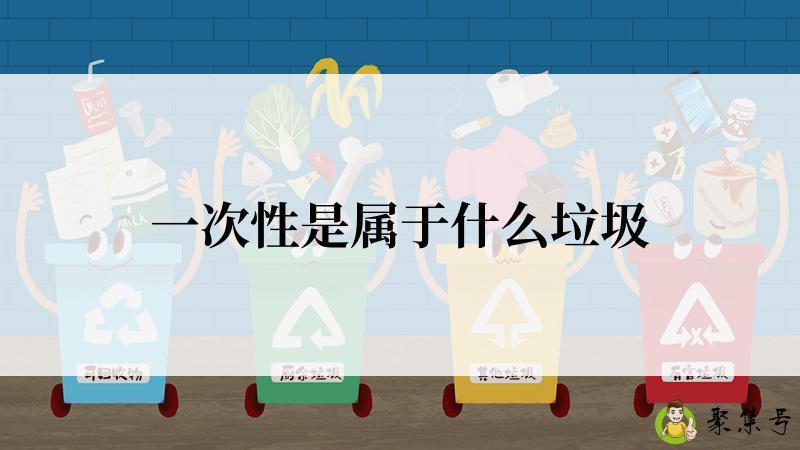 一次性是属于什么垃圾