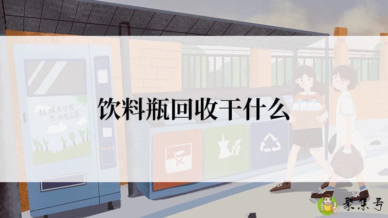 饮料瓶回收干什么