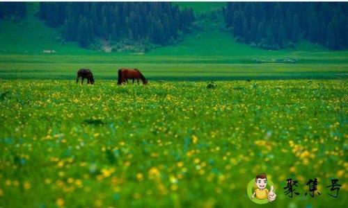 新疆图底辽阔有哪些优势