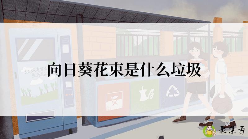 向日葵花束是什么垃圾