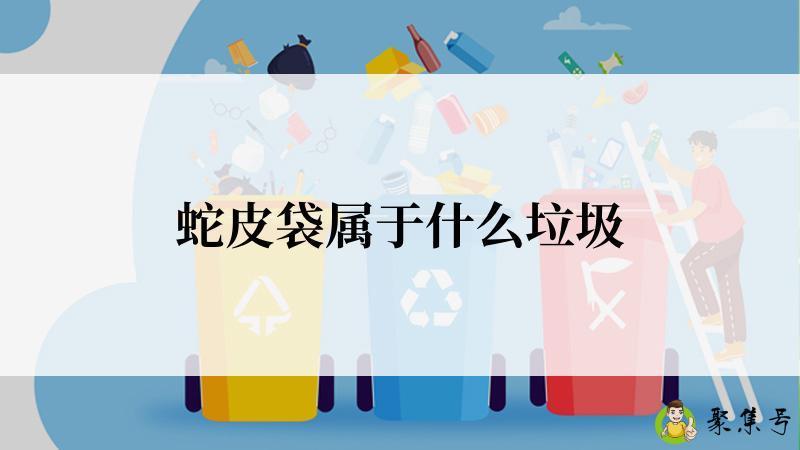 蛇皮袋属于什么垃圾