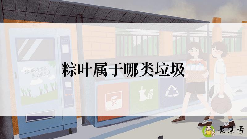 粽叶属于哪类垃圾