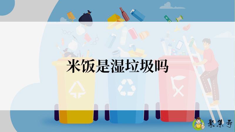 米饭是湿垃圾吗