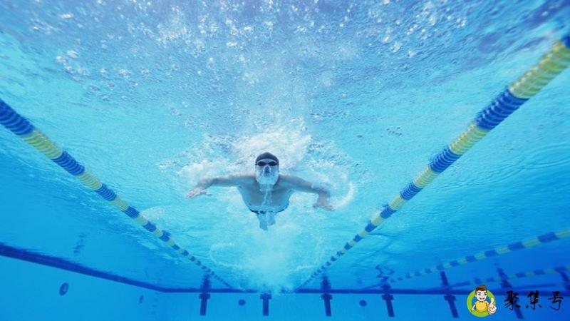 平蛙和波蛙的区别