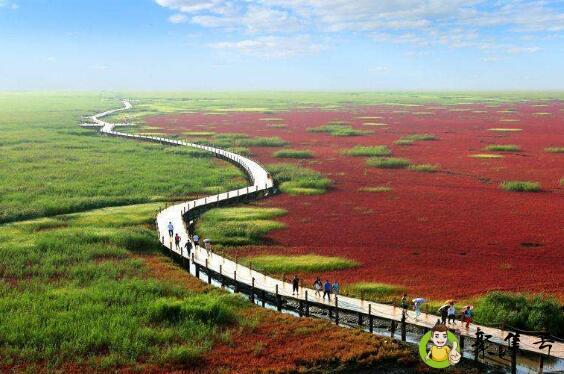 盘绵市是那个省