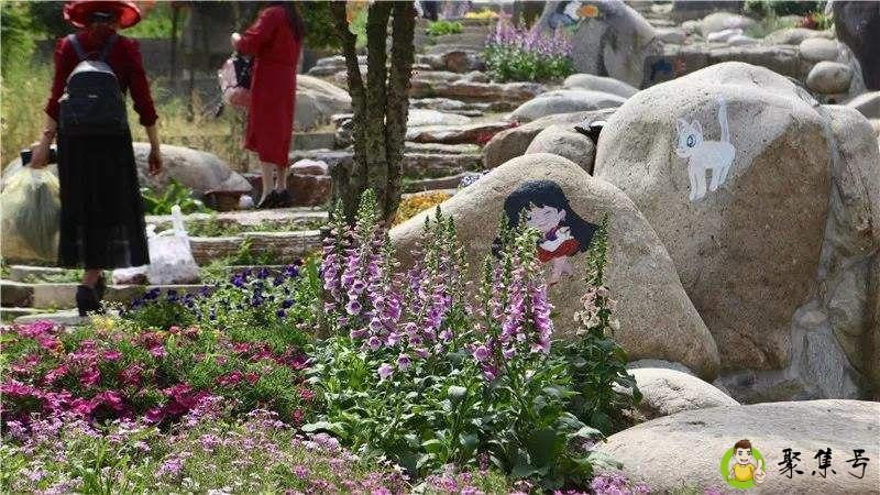 招风引蝶是什么意思