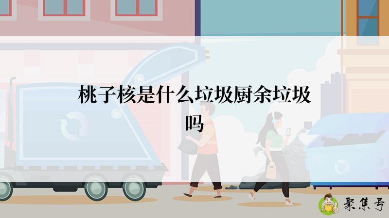 桃子核是什么垃圾厨余垃圾吗