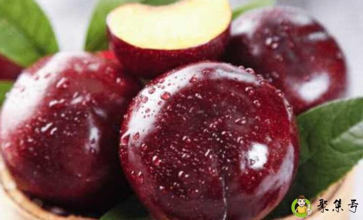 西梅和黑布林的区别