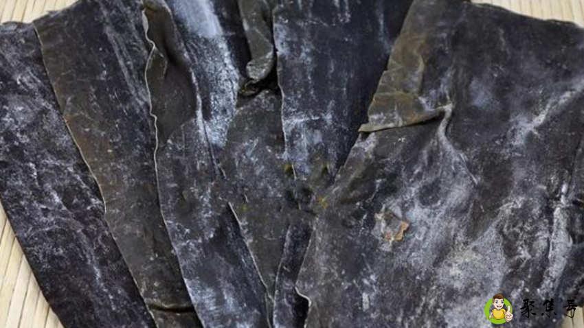 昆布是什么东西