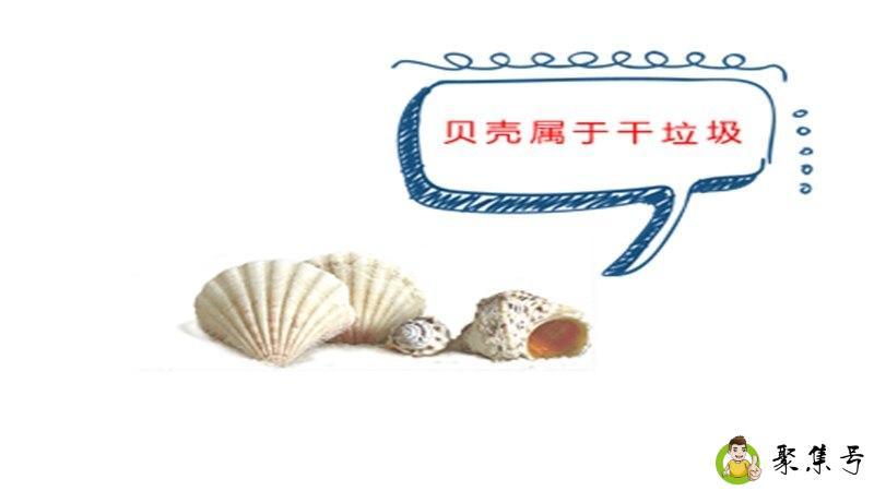 贝壳类属于干垃圾还是湿垃圾