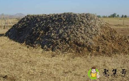 牛粪的用途