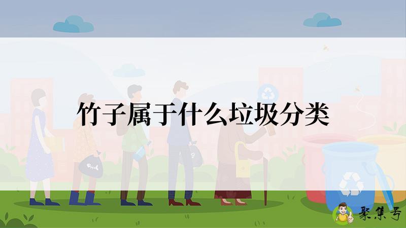 竹子属于什么垃圾分类