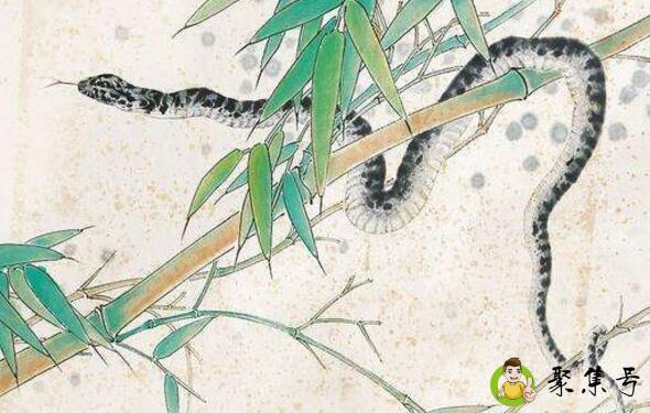 望而却步形容什么生肖