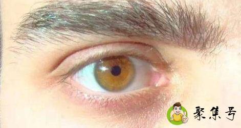 琥珀色眼睛是什么血统