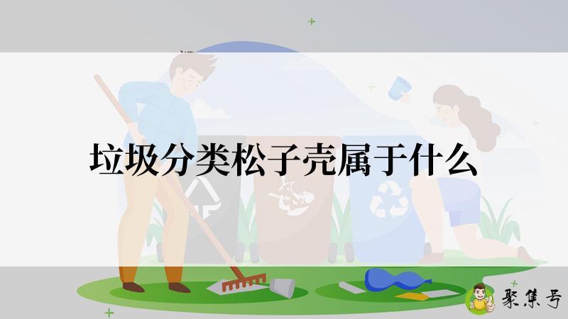 垃圾分类松子壳属于什么