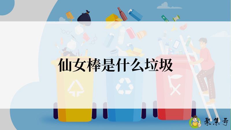 仙女棒是什么垃圾