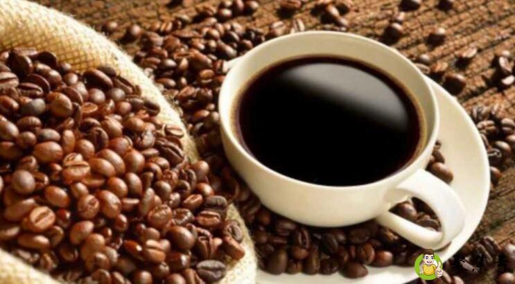 什么是猫屎咖啡