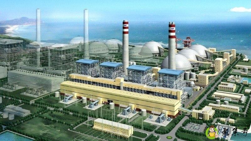 plant是什么意思