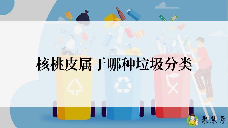 核桃皮属于哪种垃圾分类
