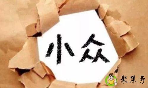 小众品牌是什么意思