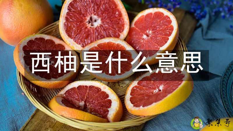 西柚是什么意思