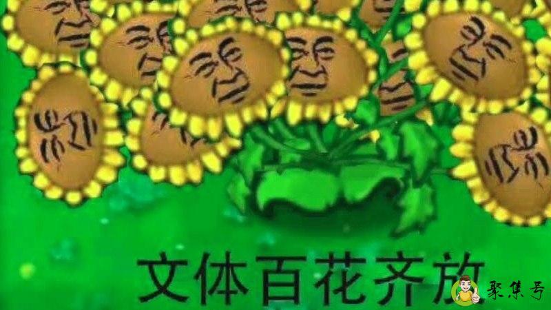 文体两开花是什么意思