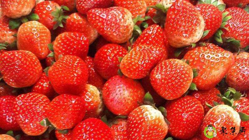 草莓籽上长黑毛能吃吗