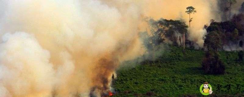 印尼烧秸秆是几月份