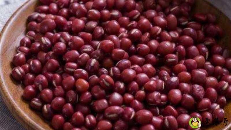 红豆与赤小豆的区别