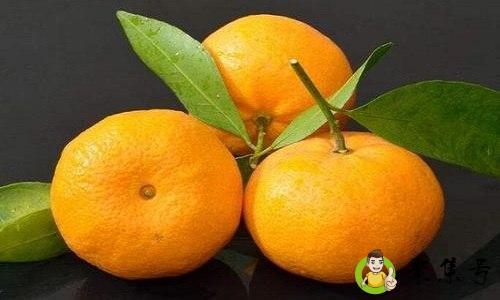 饭圈橘子什么意思