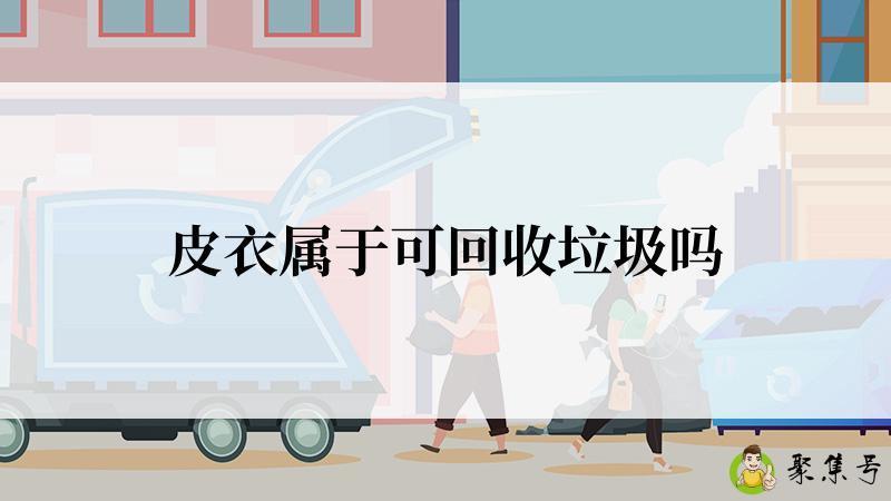 皮衣属于可回收垃圾吗