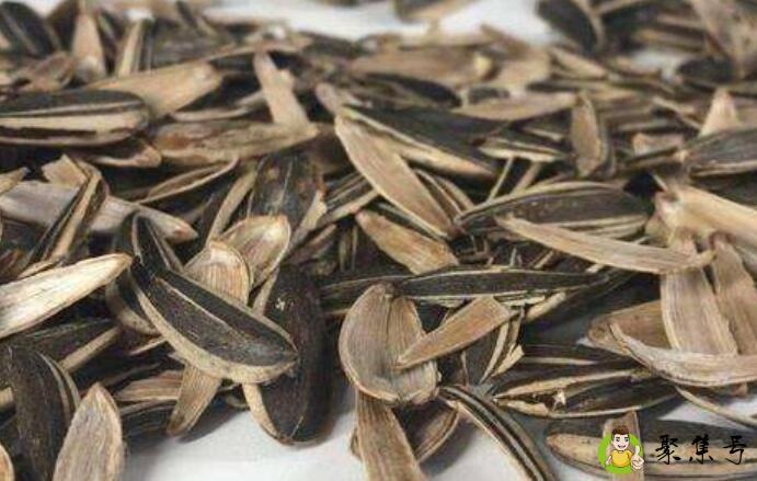 瓜子壳是干垃圾吗