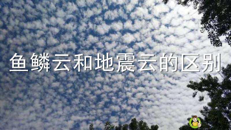 鱼鳞云和地震云的区别