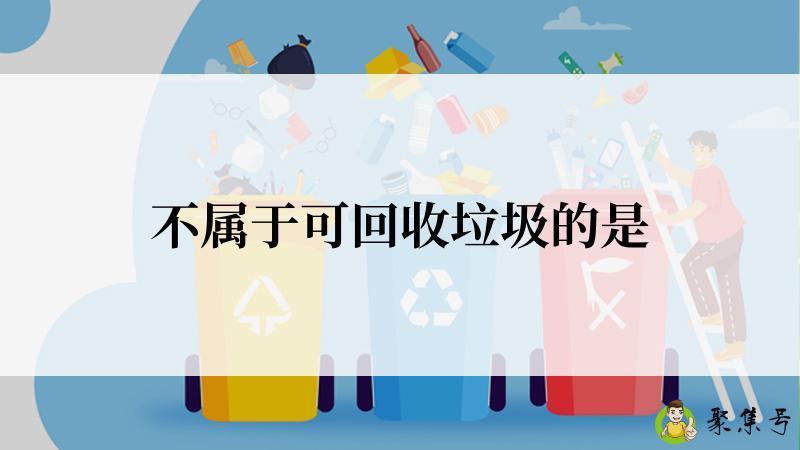 不属于可回收垃圾的是