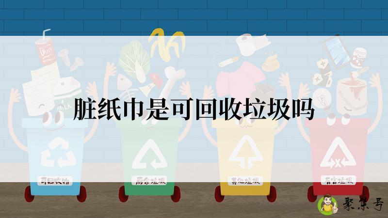 脏纸巾是可回收垃圾吗