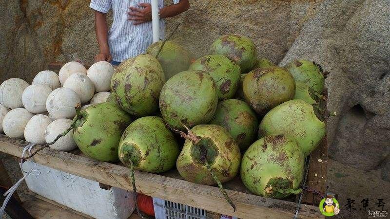 椰肉是硬的还是软的