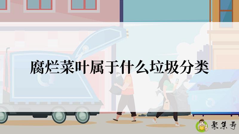 腐烂菜叶属于什么垃圾分类