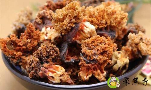 干海参花需要泡多久