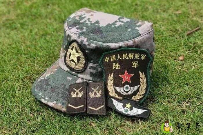 一身戎装一生荣光什么意思