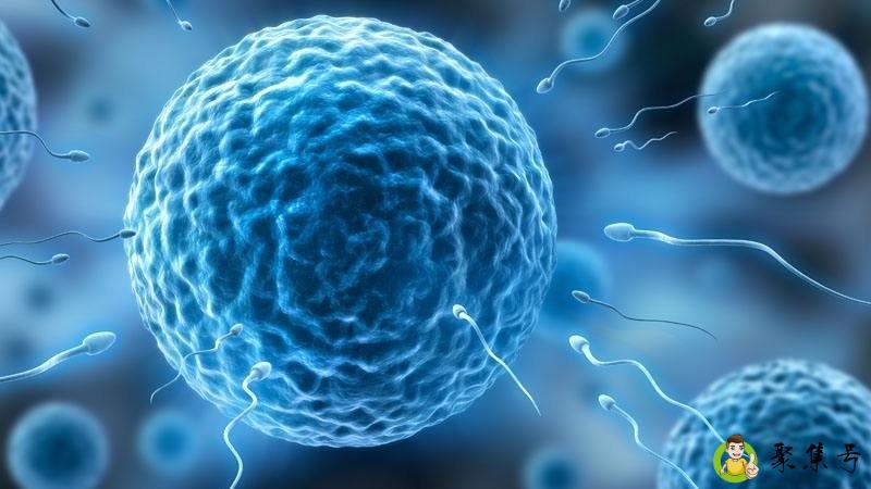 宗教与科学的关系