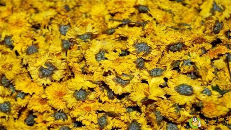 菊花茶放了一夜能喝吗